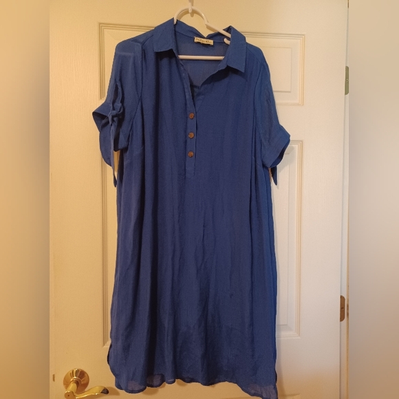 Indago Rose Womens Size 1X Blue Three Button sheer Shirt Dress - Picture 1 of 3